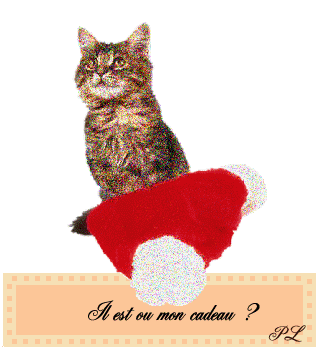 POUR toi