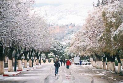 dima l3az taza city