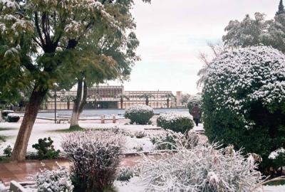 dima taza city