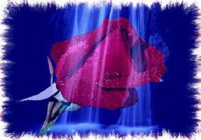 mohamed